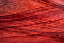 Shadows + ribs darker S Coyote Buttes 26R4 3-21-14