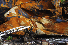 Reticulated, residue of the Echo Mountain Fire, Otis, Oregon 8781K1iiG3 12-7-20